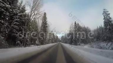 冬天开车在穿过森林的路上。 在晴朗的一天大角度拍摄